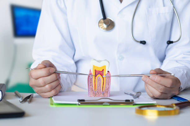 Best Pediatric Emergency Dentist in Wichita Falls, TX